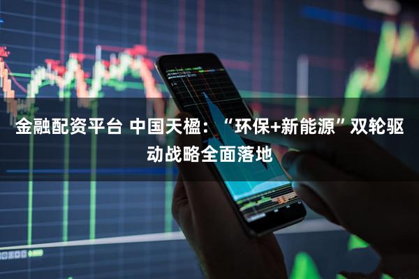 金融配资平台 中国天楹：“环保+新能源”双轮驱动战略全面落地