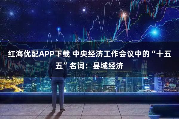 红海优配APP下载 中央经济工作会议中的“十五五”名词：县域经济