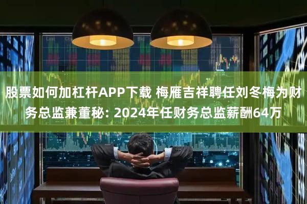 股票如何加杠杆APP下载 梅雁吉祥聘任刘冬梅为财务总监兼董秘: 2024年任财务总监薪酬64万