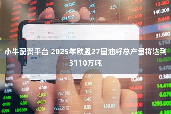 小牛配资平台 2025年欧盟27国油籽总产量将达到3110万吨