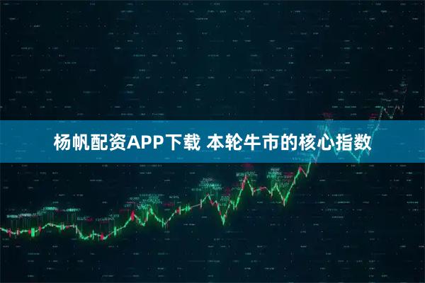 杨帆配资APP下载 本轮牛市的核心指数